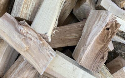 Les avantages écologiques de l’approvisionnement local en bois : pourquoi choisir un fournisseur de bois à Marseille ?