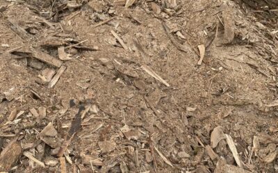 Achat de déchets de bois en Haute-Savoie : transformer les résidus en ressources valorisables