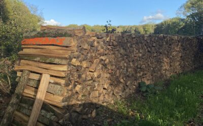 Le bois de chauffage à Marseille : une solution chaleureuse, économique et écologique
