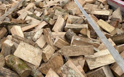 Transport de bois à Marseille : les meilleures pratiques pour une logistique efficace et durable