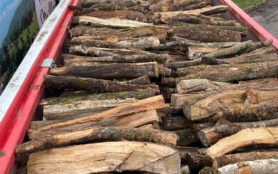 L’importance de la planification stratégique dans le transport de bois en Haute-Saône