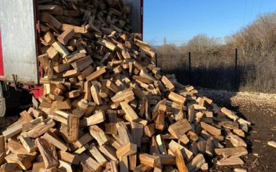 Marchand de bois de chauffage en Haute-Saône : Les critères essentiels pour sélectionner un partenaire fiable pour les grossistes