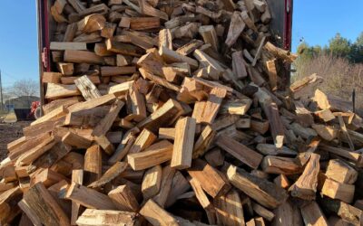 Achat de bois en Haute-Saône : comment bien entreposer et stocker votre bois de chauffage ?