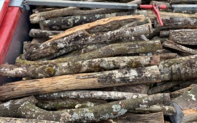 Fournisseur de bois en Haute-Savoie : les critères de qualité pour sélectionner un partenaire expert