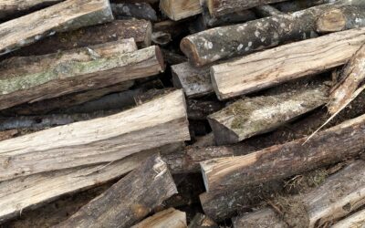 Livraison de bois de chauffage à Marseille : solutions innovantes pour une distribution nationale optimisée