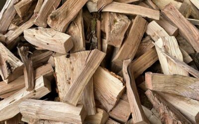 Négociant en bois de chauffage en Haute-Savoie : stratégies d’approvisionnement en essences dures pour optimiser vos stocks