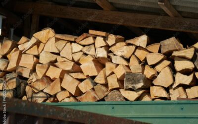 Achat de bois à Vesoul avec Comfabois : votre source de qualité