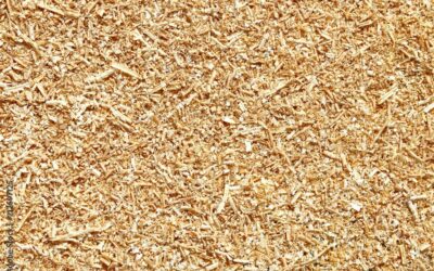 Vente de sciure de bois en Haute-Saône : la solution de chauffage économique et écologique