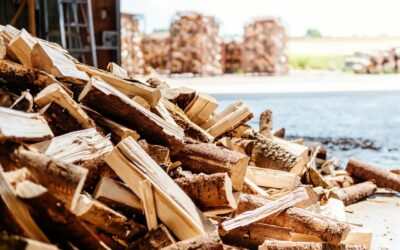 Bois de chauffage à Vesoul : un bois de qualité pour chauffer votre intérieur