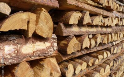 Marchand de bois en Haute-Saône : comment calculer la quantité de bois nécessaire pour votre foyer ?