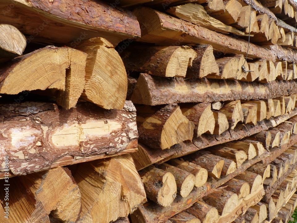 marchand-de-bois-en-haute-savoie-comfabois