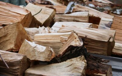 Vente de bois à Gray : qualité et polyvalence